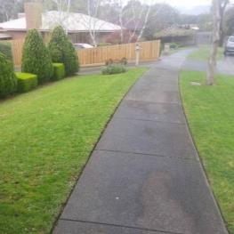 Profile photo of Jarryd Bywaters in Mitcham Central