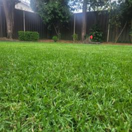 Profile photo of Nathan  Jones in Elderslie